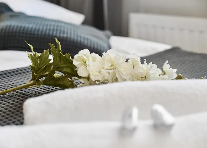 Daire Architektow Avenue Free Parking By Renters