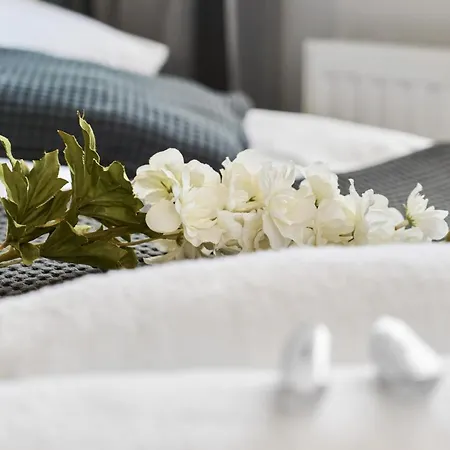 Apartmán Architektow Avenue Free Parking By Renters