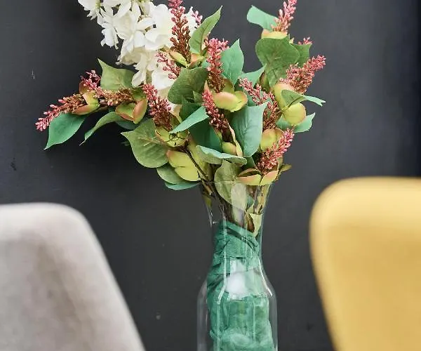 Architektow Avenue Free Parking By Renters